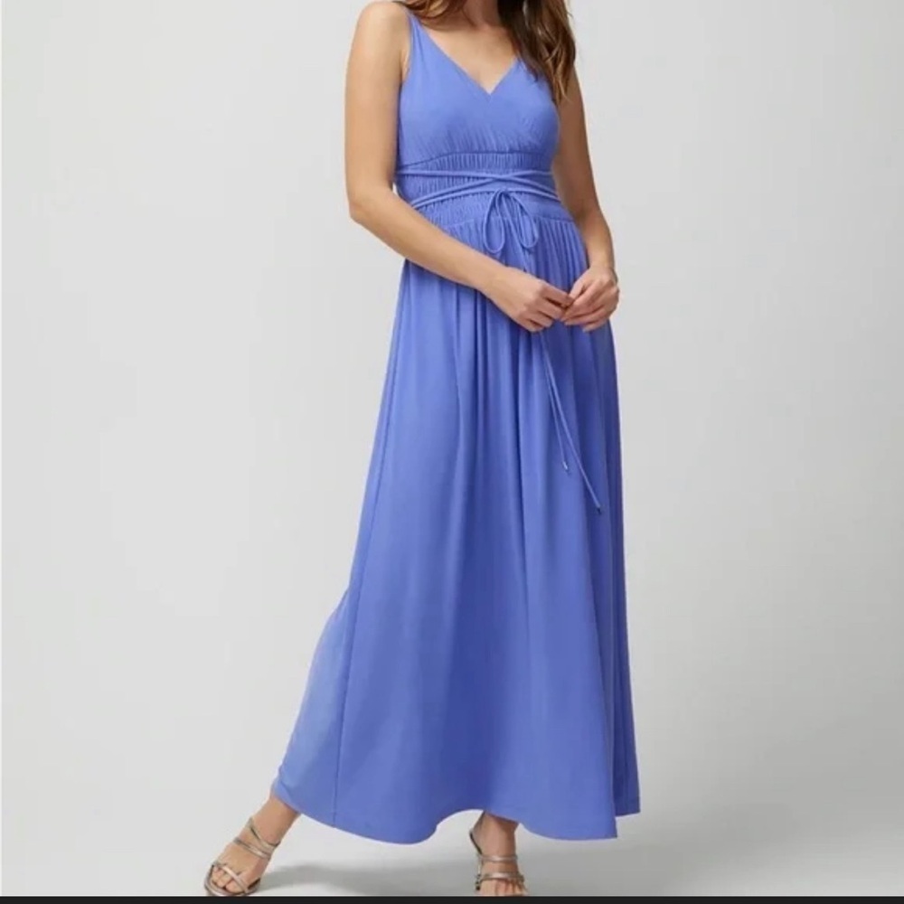 ✨💜White House Black Market WHBM Purple PeriwinkleV-Neck Ruched Maxi Dress Size M - Picture 16 of 16
